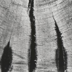 Live at Paradiso, Amsterdam The Netherlands. October 30th 2002.