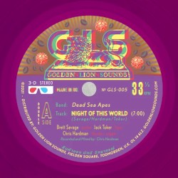 Night of This World / Lion’s Roar