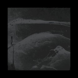 Strife of Permanence