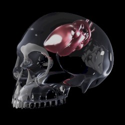 Devolution (Part. 2)