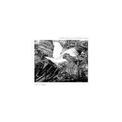 A Siren Blares in an Indifferent Ocean