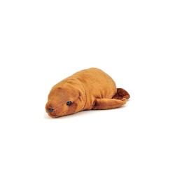SEA LION TYPE BEATS