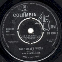 Baby What's Wrong / Be a Sect Maniac