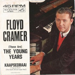 (These Are) The Young Years