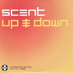 Up & Down
