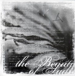 The Beauty of Sadness