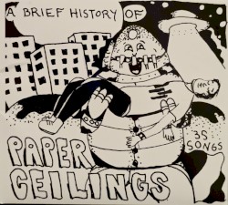 A Brief History of Paper Ceilings
