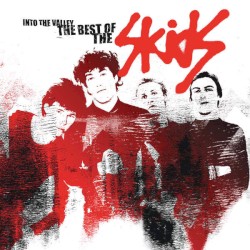 Into the Valley: The Best of the Skids
