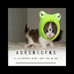 A.D.R.O.M.I.C.F.M.S.