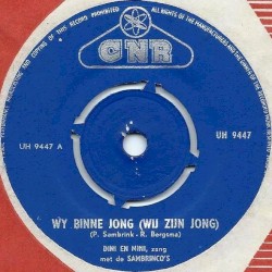Wy binne jong