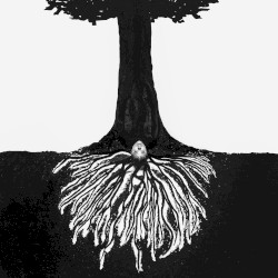 a tree planted by water