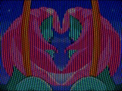 ✨YOU MUST SHINE✨