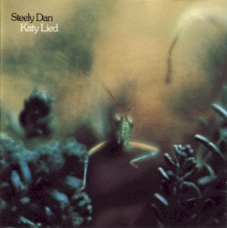 Katy Lied