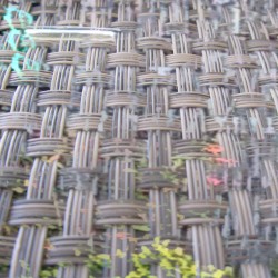 birch static