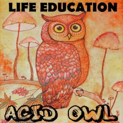 Acid Owl