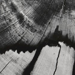 Live at M.O.P., München Germany, May 11th 2003