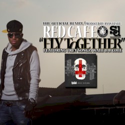 Fly Together (remix)
