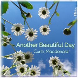 Another Beautiful Day