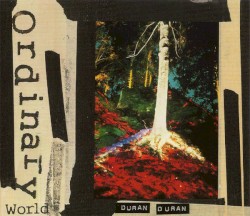 Ordinary World / Decade