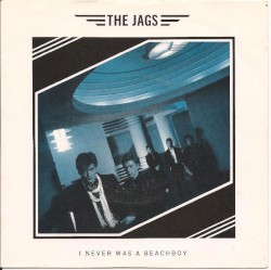 I Never Was a Beach Boy