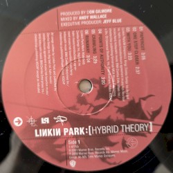 Hybrid Theory