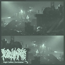 High Caliber Decimator EP