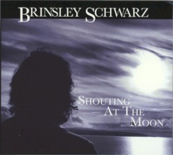 Shouting At The Moon