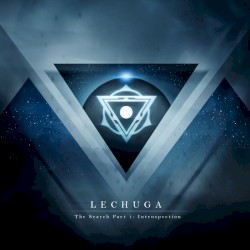 The Search Part 1: Introspection