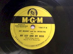 Zither Serenade / My Lily and My Rose