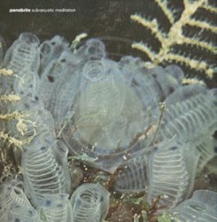 Sub‐Aquatic Meditation