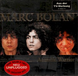Accoustic Warrior