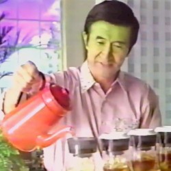 056: 狂った夜の後の素敵な朝