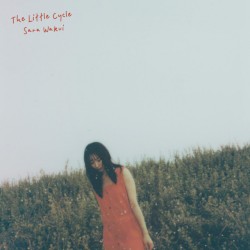 The Little Cycle