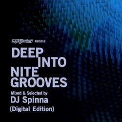 Deep Into Nite Grooves
