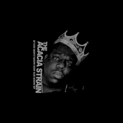 If You Don't Know Now You Know