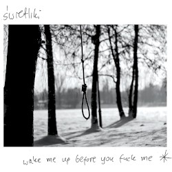 Wake Me Up Before You Fuck Me