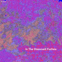 In the Dissonant Fuchsia
