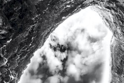 Excluded From the Ark