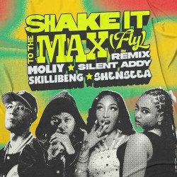 Shake It To The Max (FLY) [Remix]