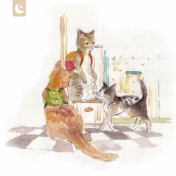 cat’s journey