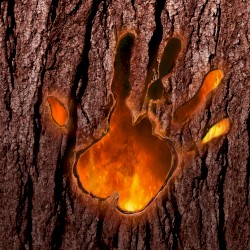 La vida es todo lo que vos quieras