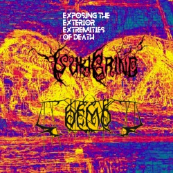 Exposing the Exterior Extremities of Death