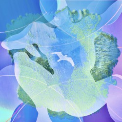 Swimming in Purple Clouds