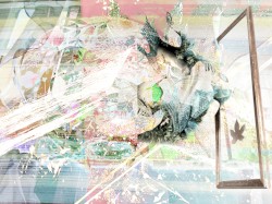 Freeroam 164 :: Real-Light Relations From the Second Meeting Which Now Achieved Near Doubleweek Transcendence XXXII -- "undercarmeant"