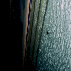 Only Trying 2 Tell U