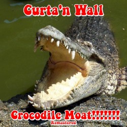 Crocodile Moat Remastered!!!!!!