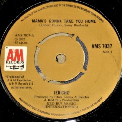 Mama's Gonna Take You Home