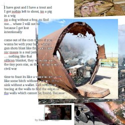 airplane Crash investigation