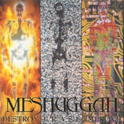 Destroy Erase Improve