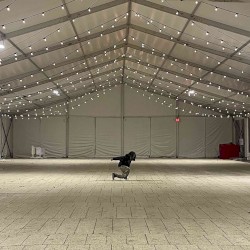 Count of three (You can eat $#@!)